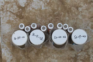 �����޸�